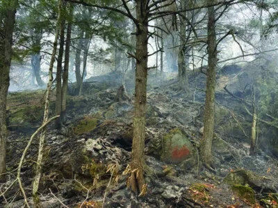 Wet weather both helps, hurts firefighting efforts